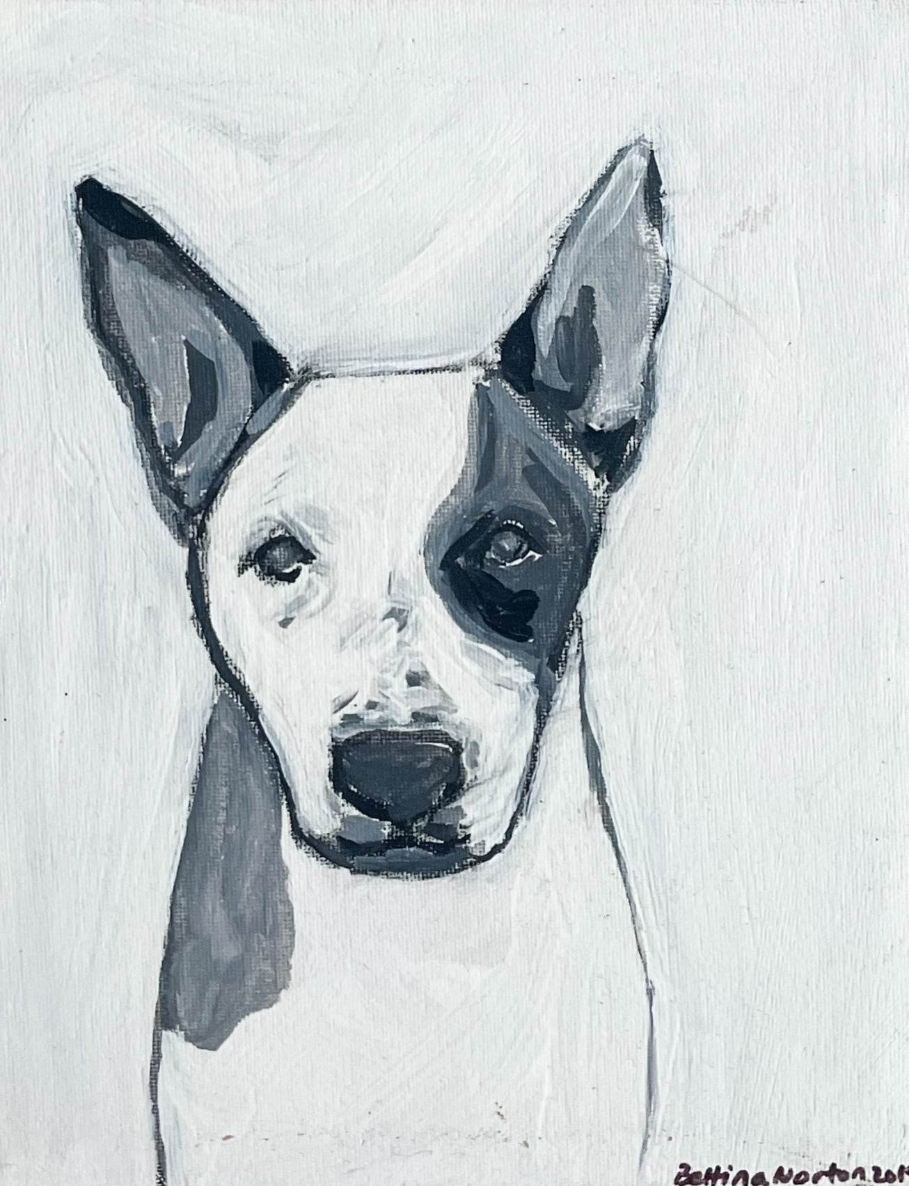 Pooch