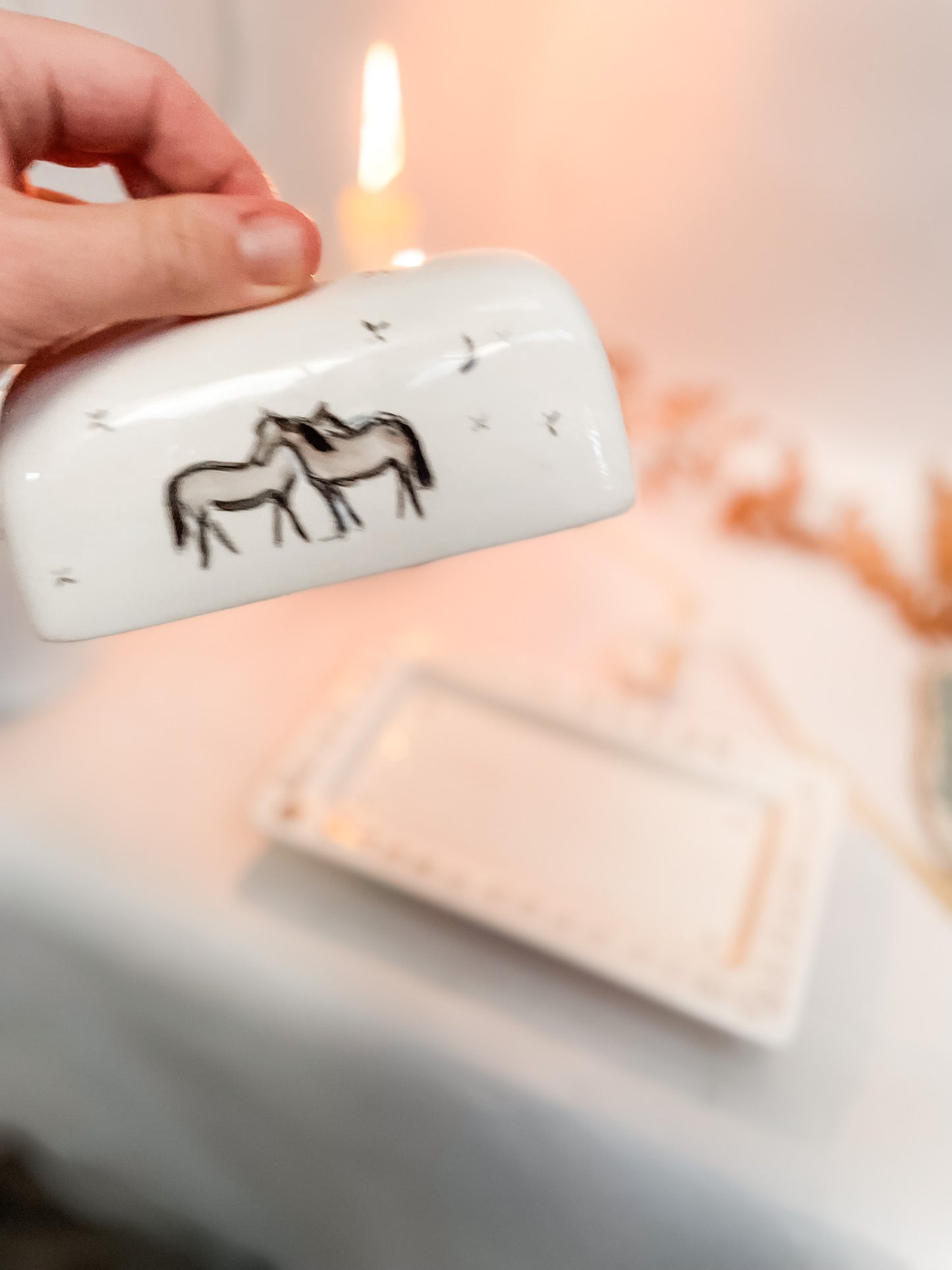 Butter Dish 4