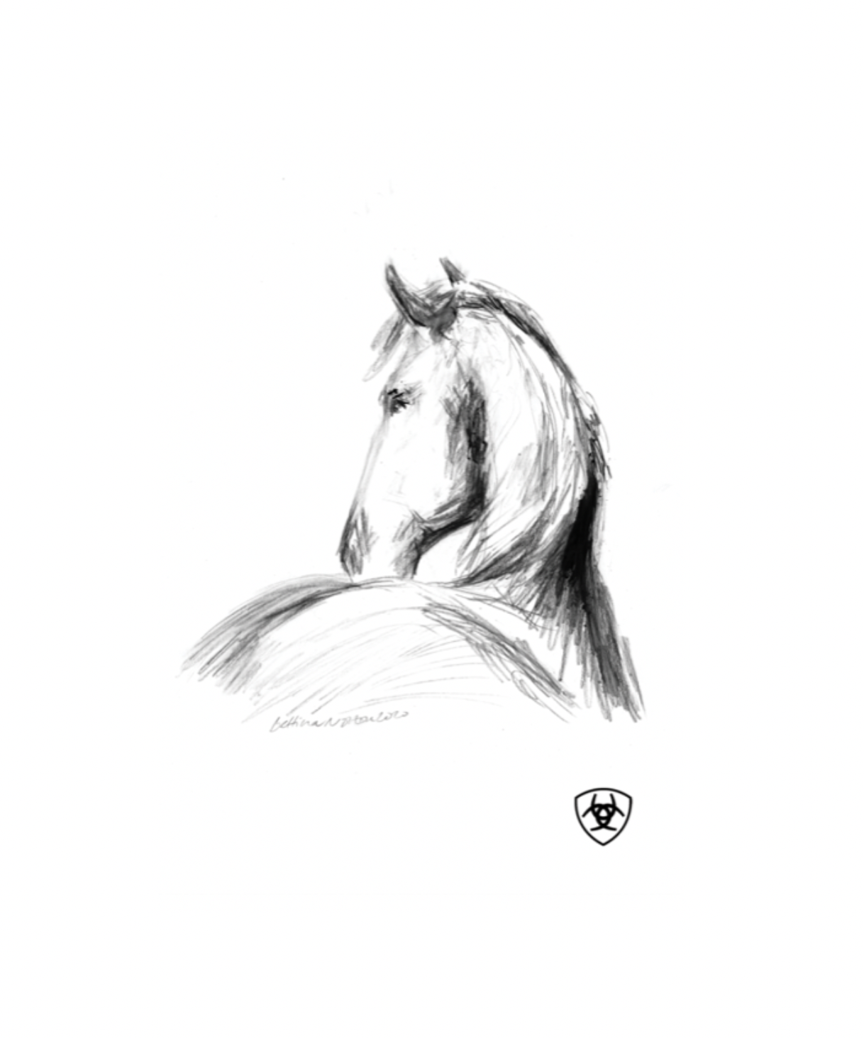 Cards for Evan and Ariat - Friesian