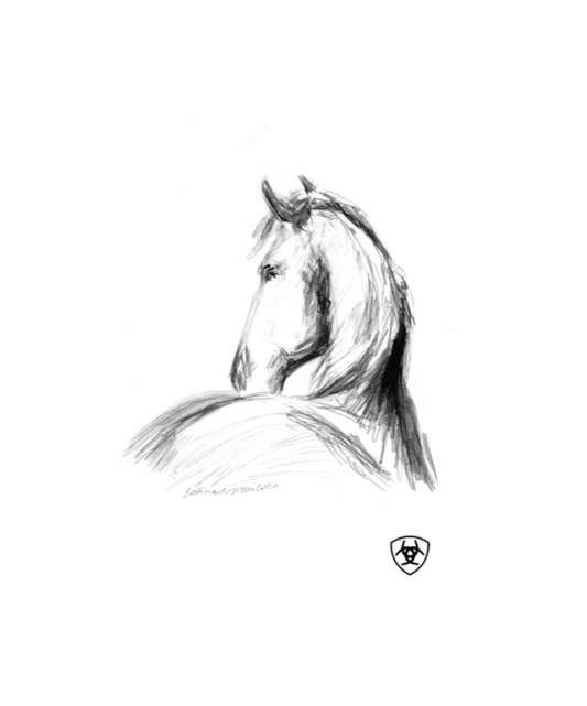 Cards for Evan and Ariat - Friesian