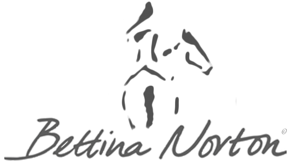 Bettina Norton Artwork logo