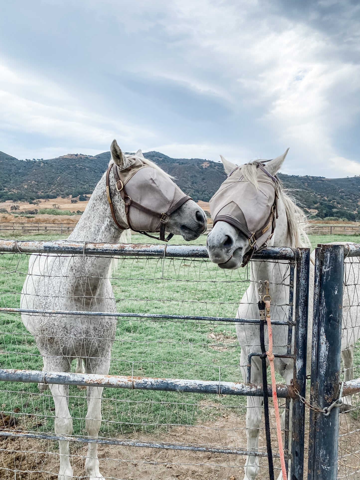 Custom art for Dorothy