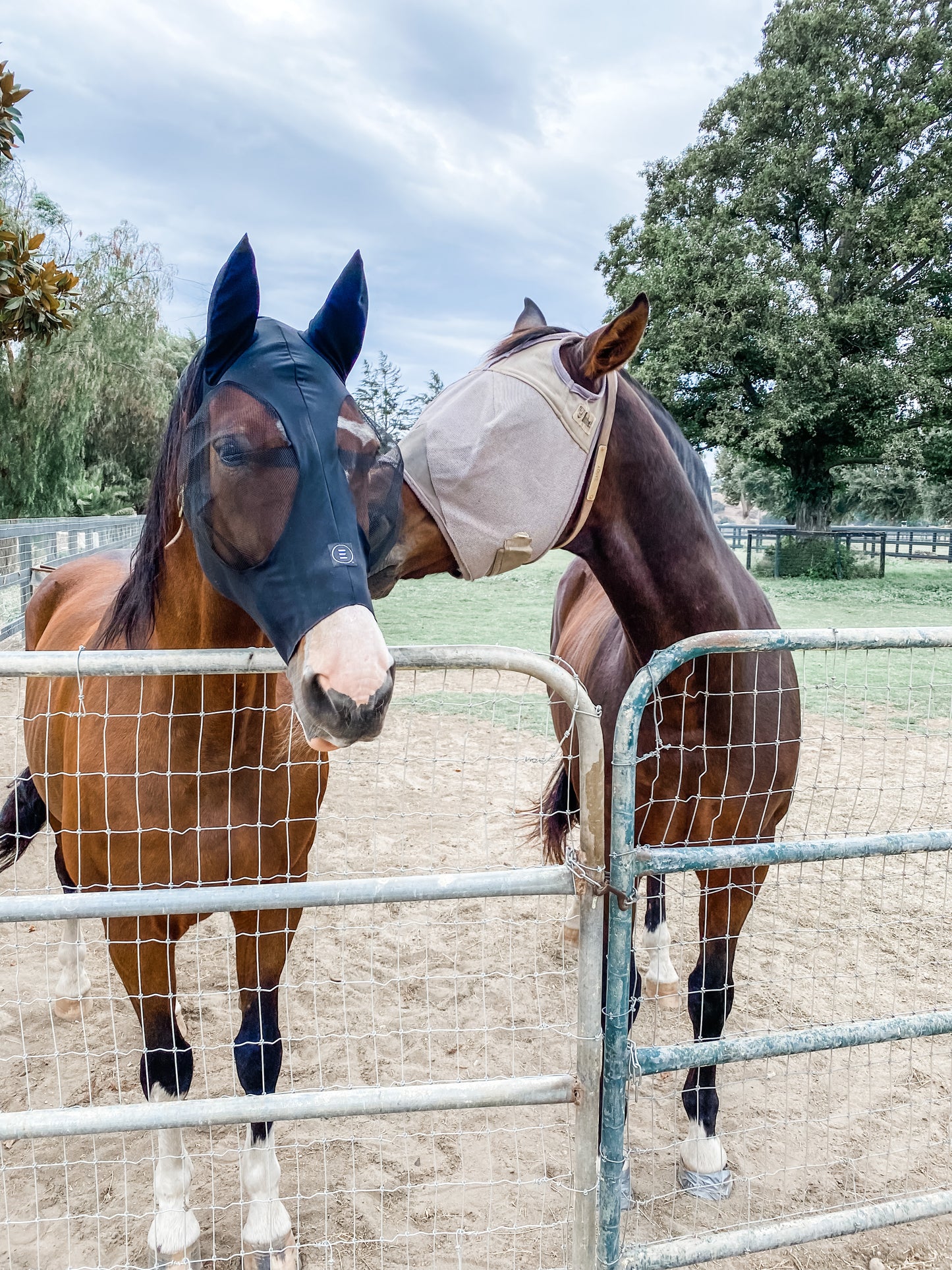 Custom art for Dorothy