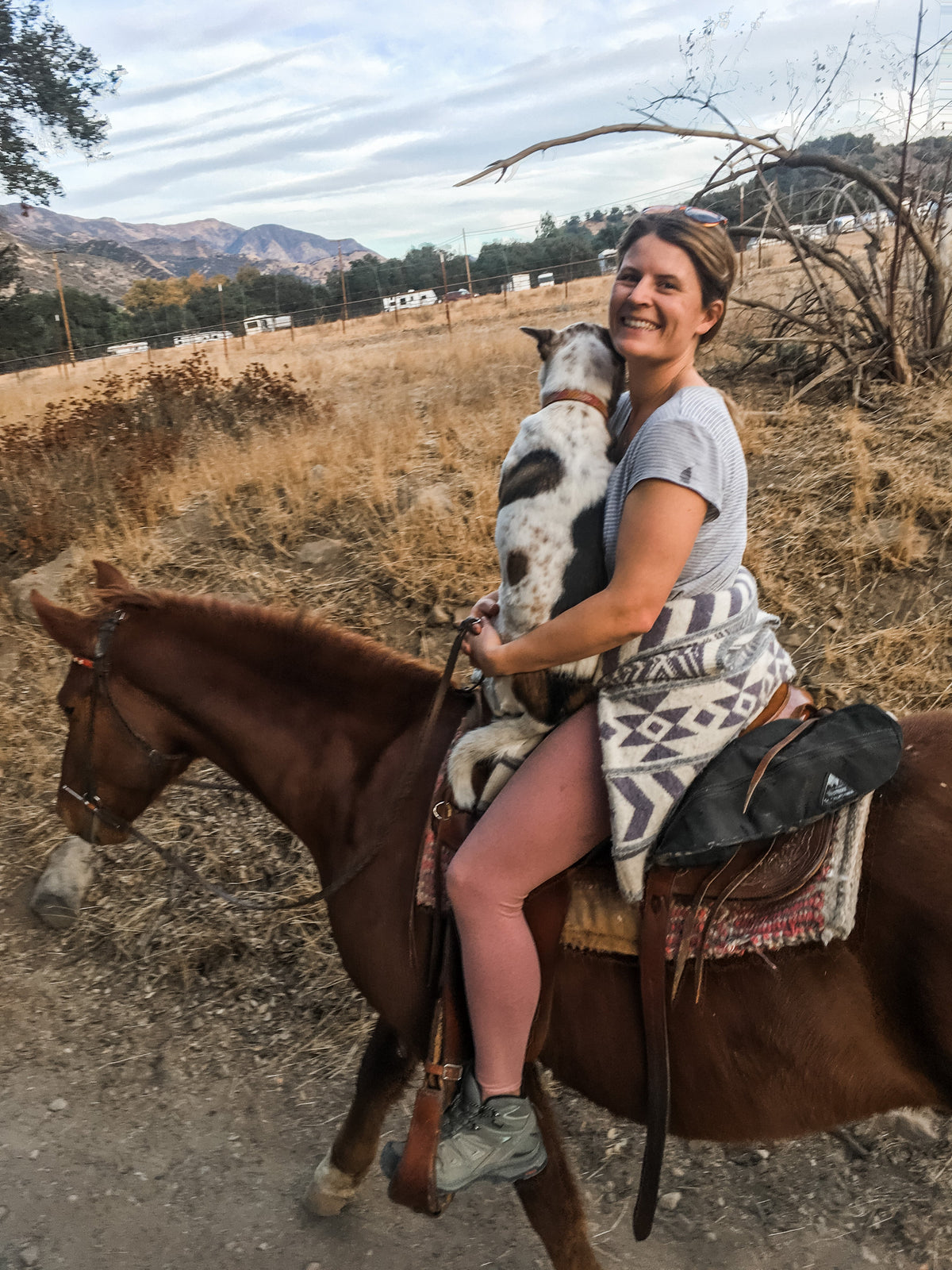 A story about Frankie, and why I paint what I paint.