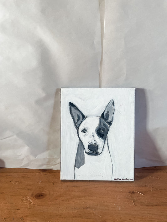 Pooch