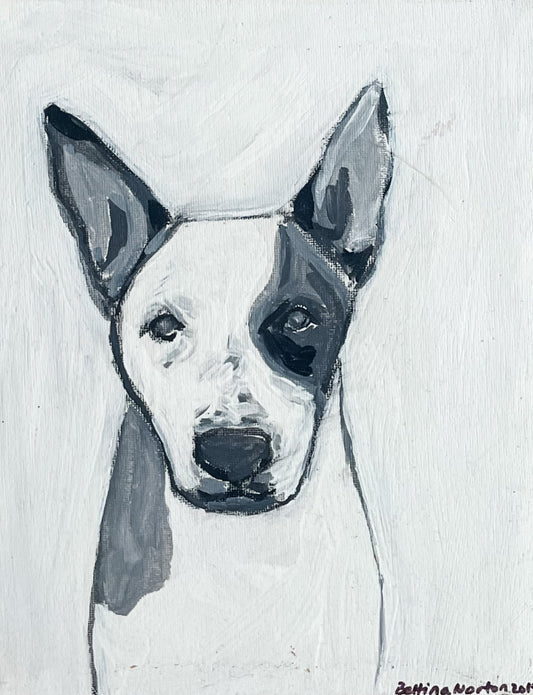 Pooch