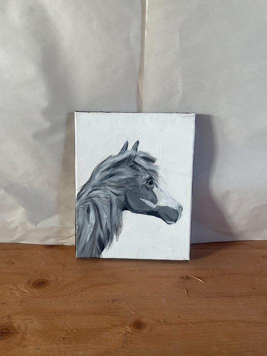Pony