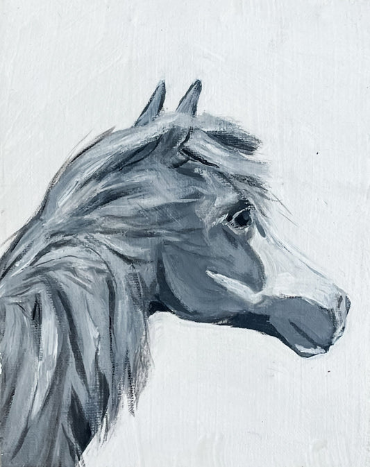 Pony