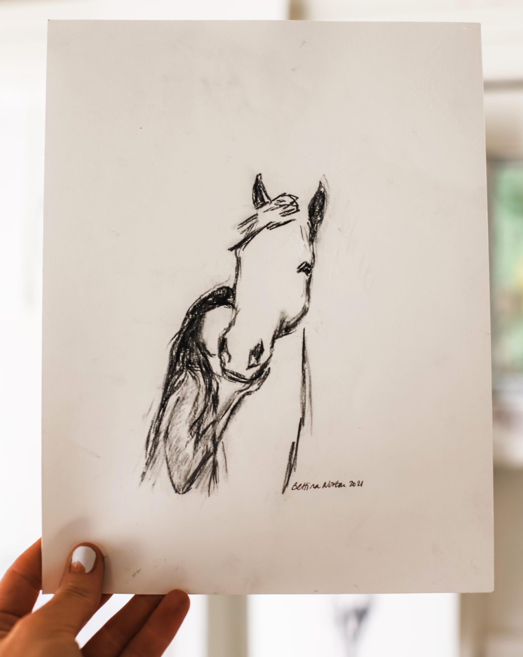 Pin by Marina on Pencil drawings  Horse drawings Animal drawings Horse  art drawing
