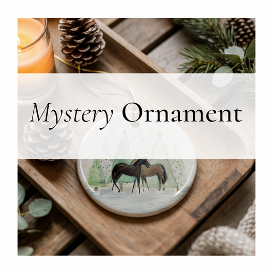 Mystery Ceramic Ornament