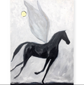 Fly By Night - Unframed canvas - Seconds