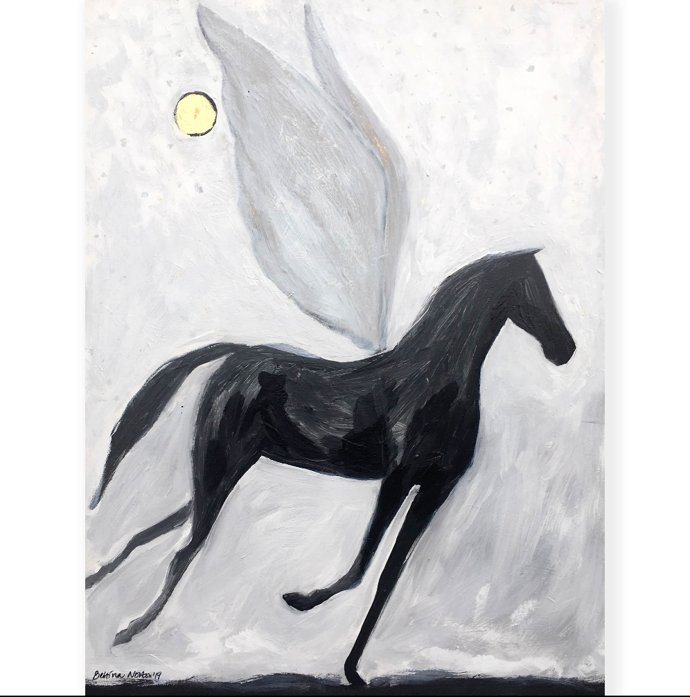 Fly By Night - Unframed canvas - Seconds