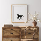 Black Horse - Bettina Norton Artwork