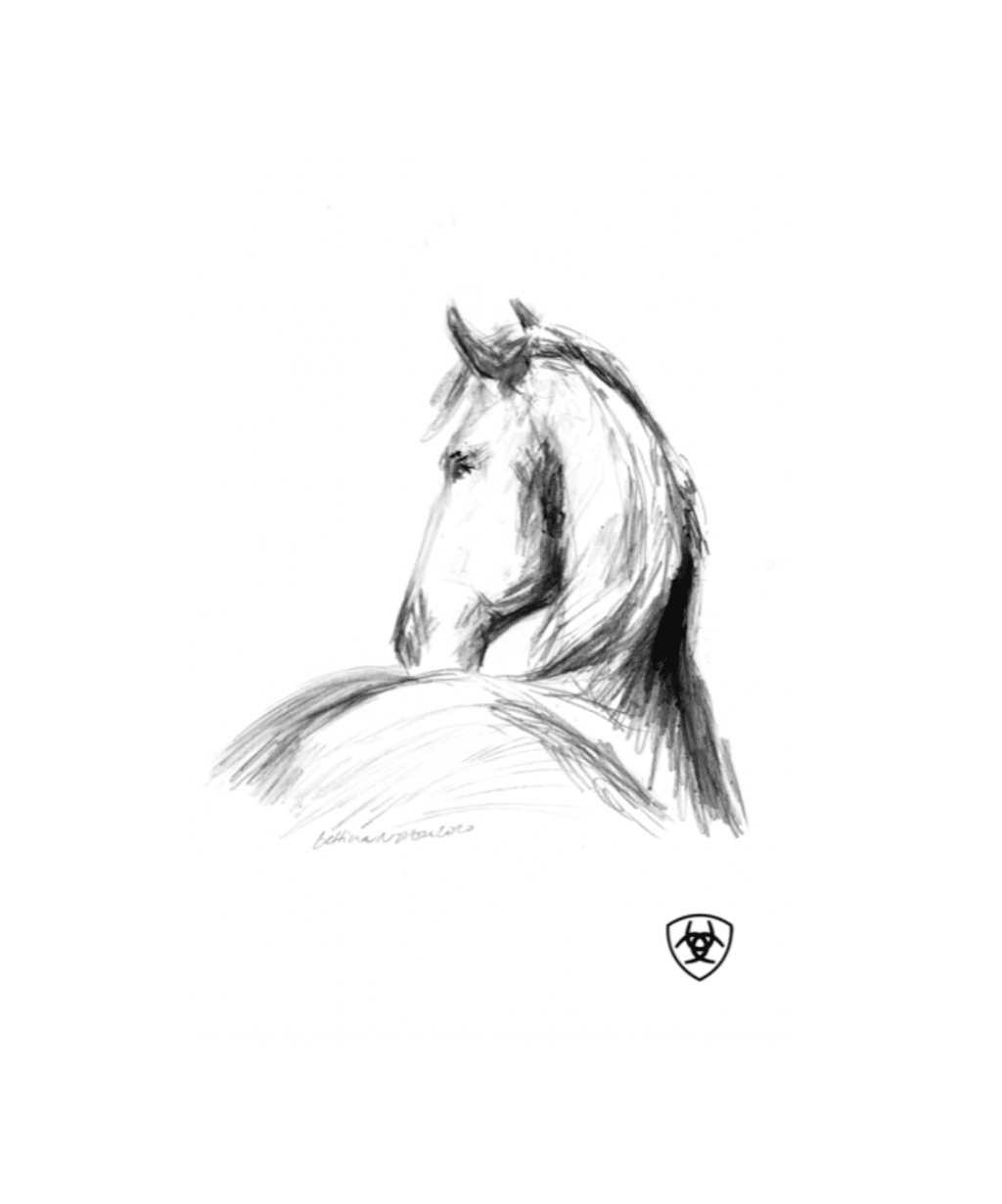 Cards for Evan and Ariat - Friesian - Bettina Norton Artwork