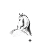 Cards for Evan and Ariat - Friesian - Bettina Norton Artwork