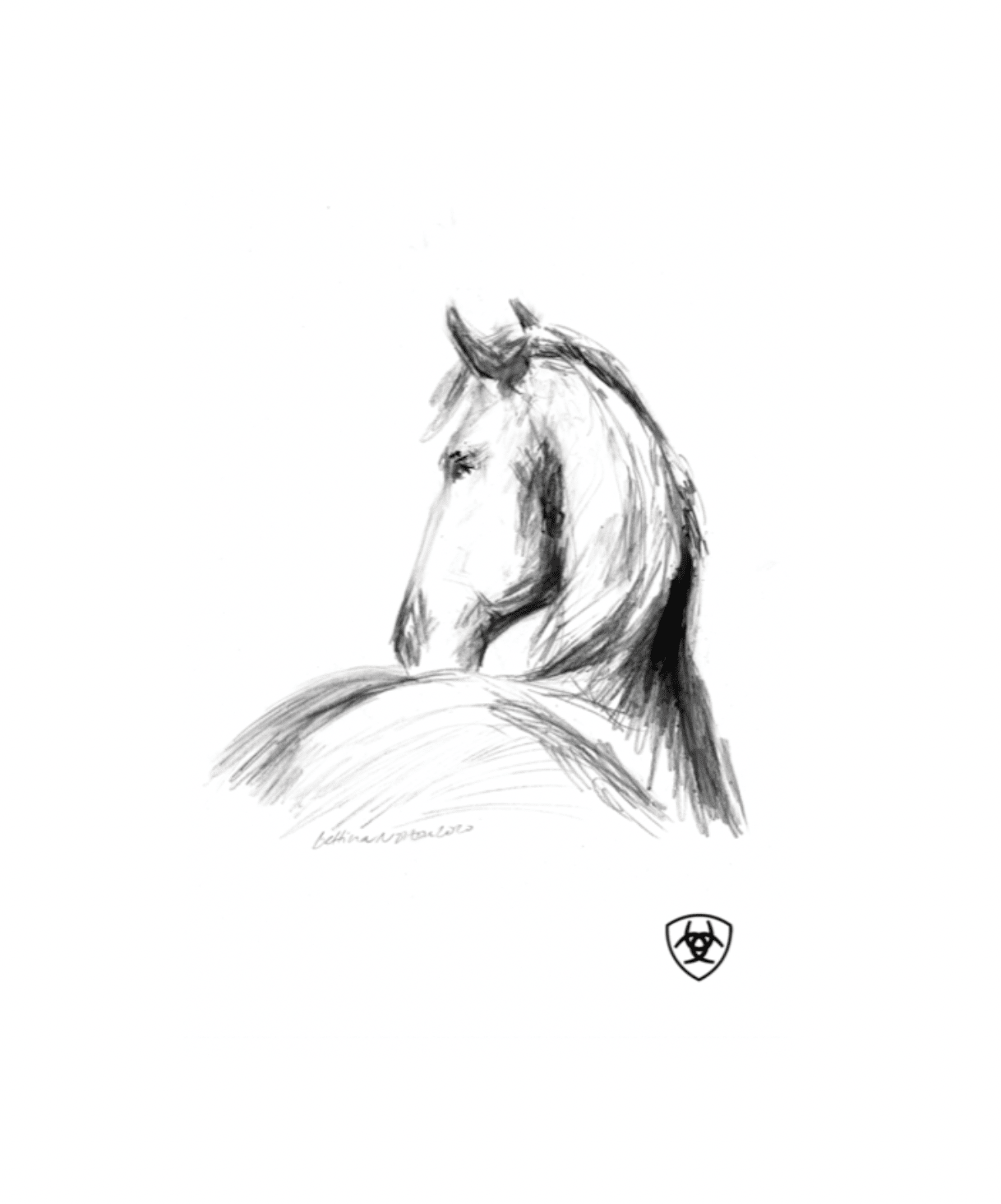 Cards for Evan and Ariat - Friesian - Bettina Norton Artwork