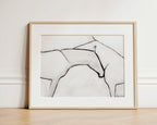 Close - Bettina Norton Artwork