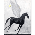 Fly By Night - Unframed canvas - Seconds - Bettina Norton Artwork