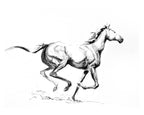 Freedom in Motion - Bettina Norton Artwork