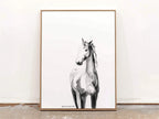 Queen Mare - Bettina Norton Artwork