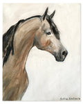 1 Shorty - Bettina Norton Artwork