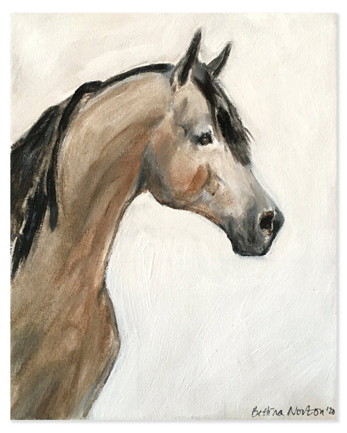 1 Shorty - Bettina Norton Artwork