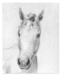 13 Betty - Bettina Norton Artwork