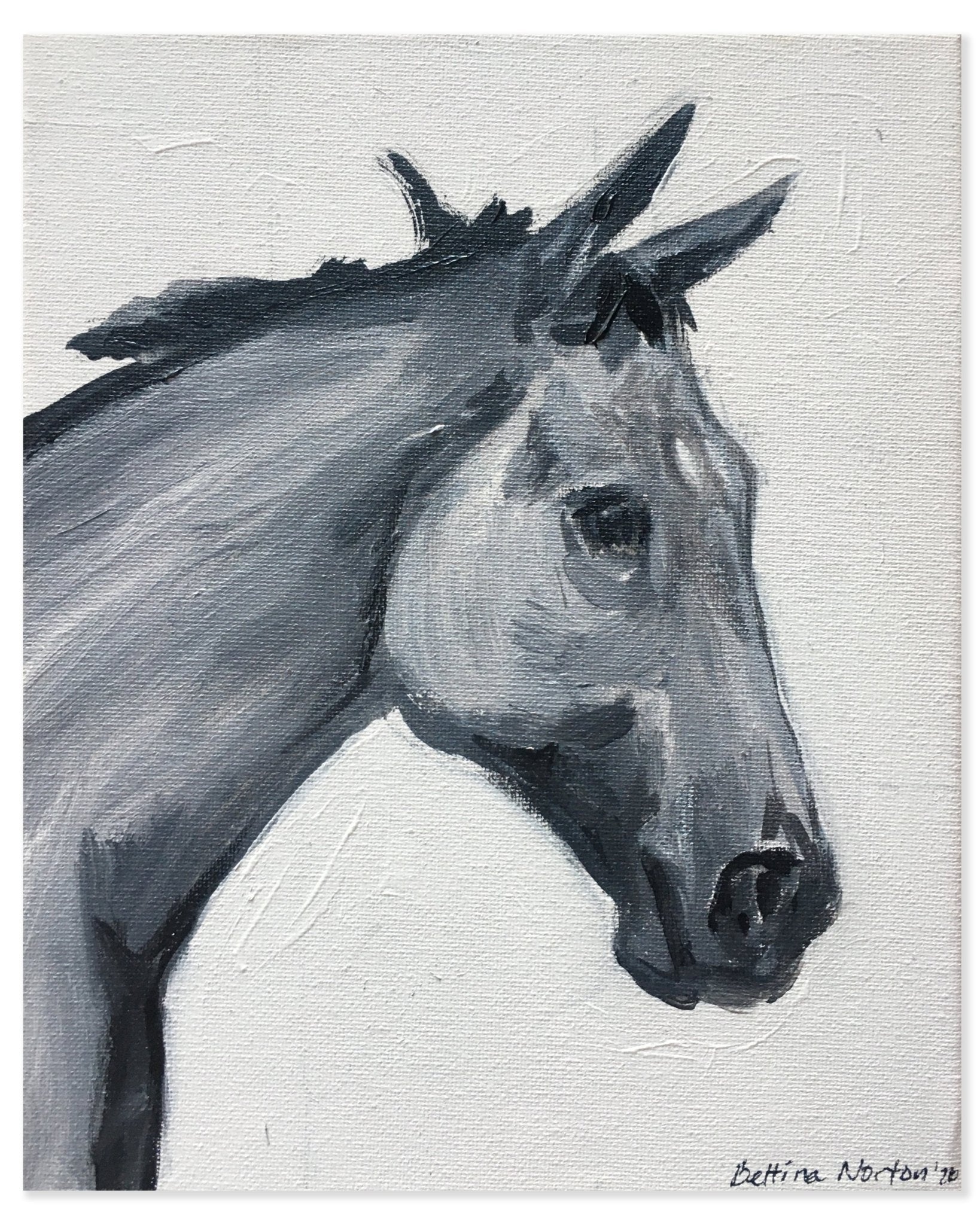15 Monte - Bettina Norton Artwork