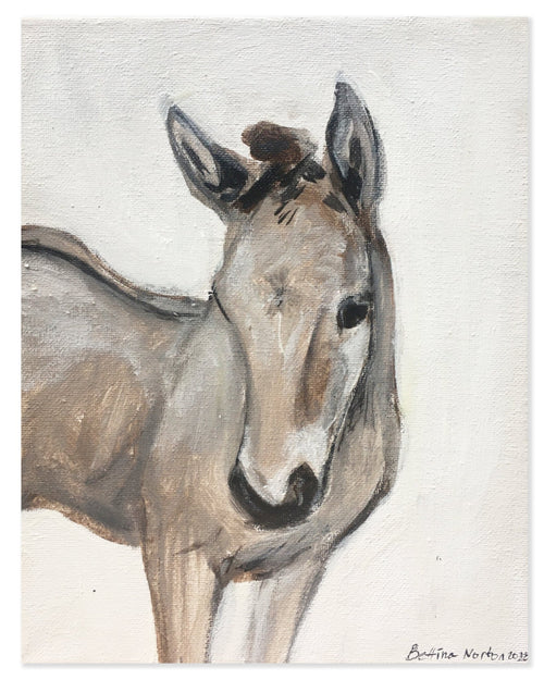 16 Duke - Bettina Norton Artwork