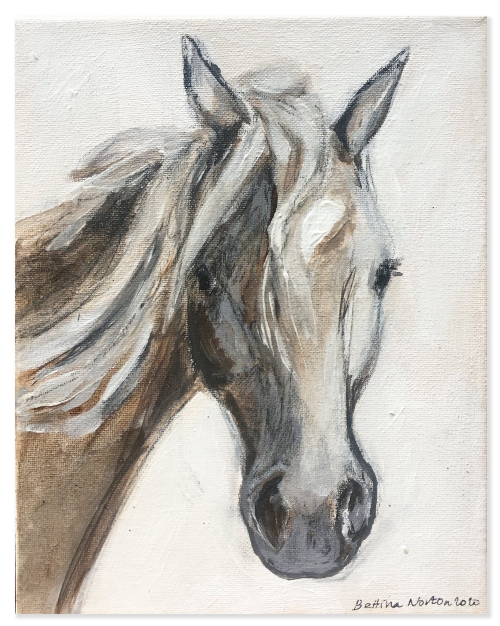 18 Willie - Bettina Norton Artwork
