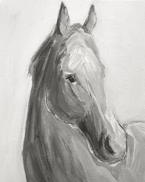 21 Nickers! - Bettina Norton Artwork