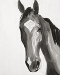 27 Charlie! - Bettina Norton Artwork