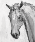29 Jerry! - Bettina Norton Artwork