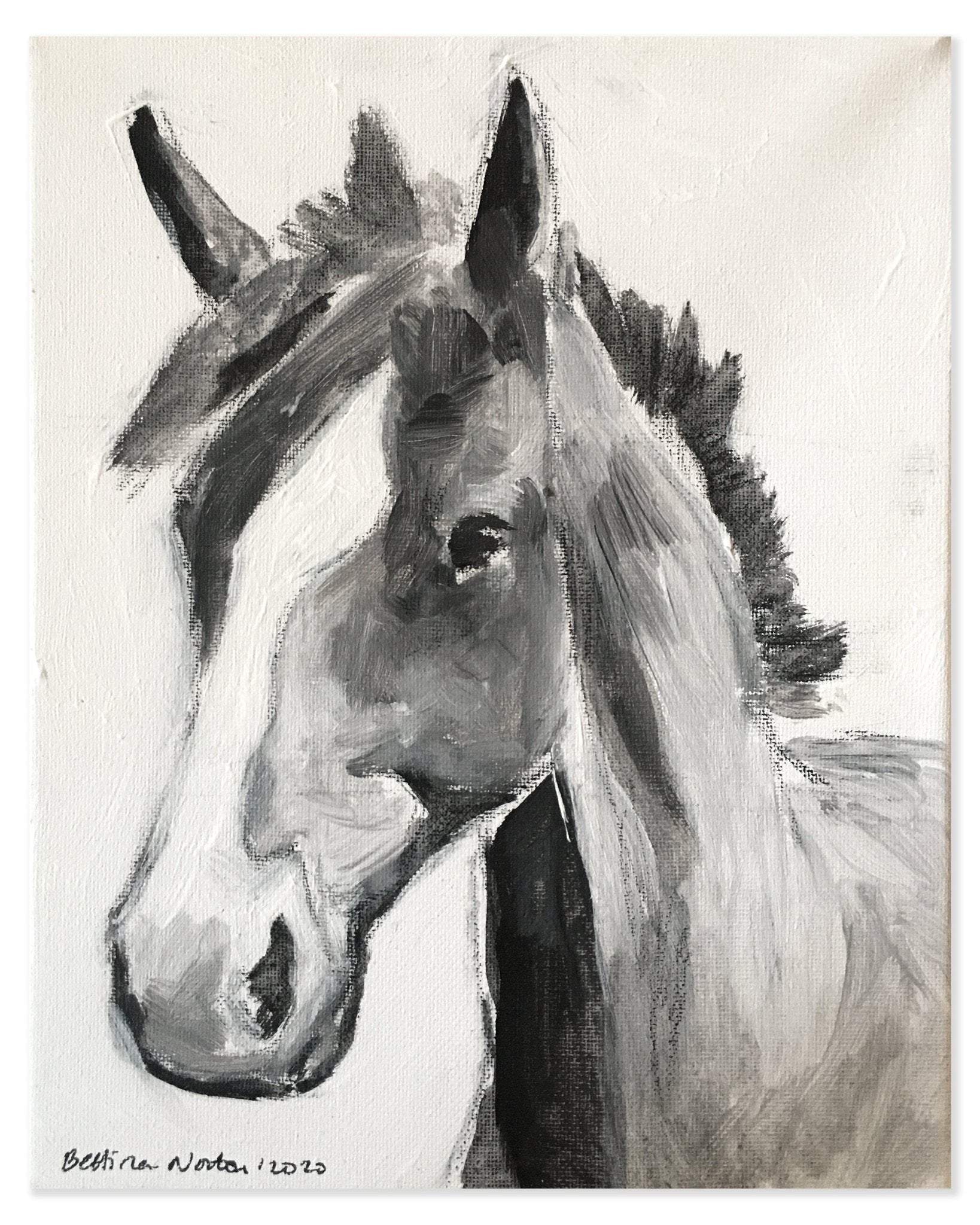 3 Chappie - Bettina Norton Artwork