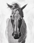 4 Sammy! - Bettina Norton Artwork