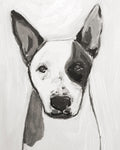8 Lolie! - Bettina Norton Artwork