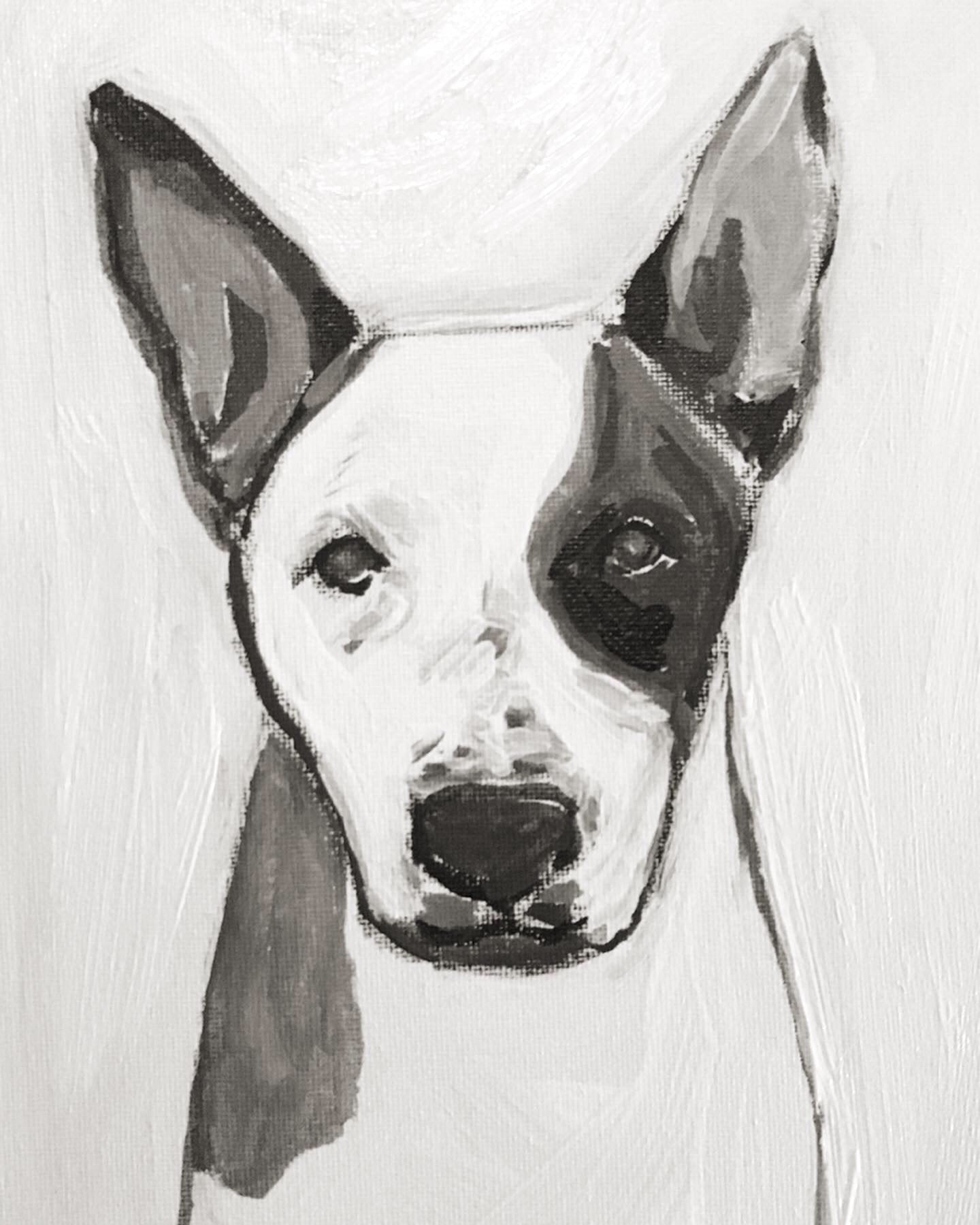 8 Lolie! - Bettina Norton Artwork