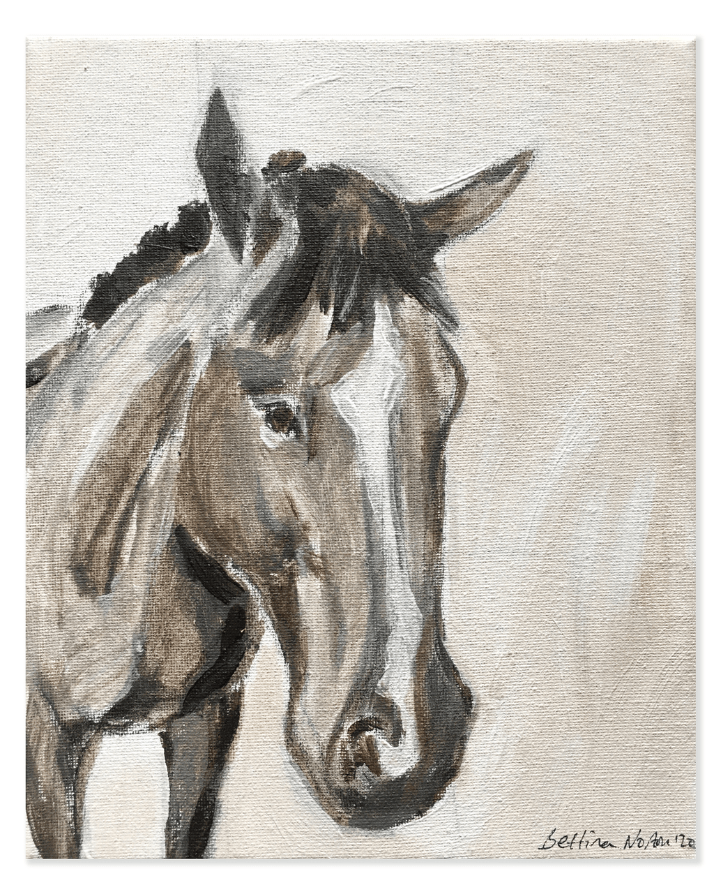 9 Collie - Bettina Norton Artwork