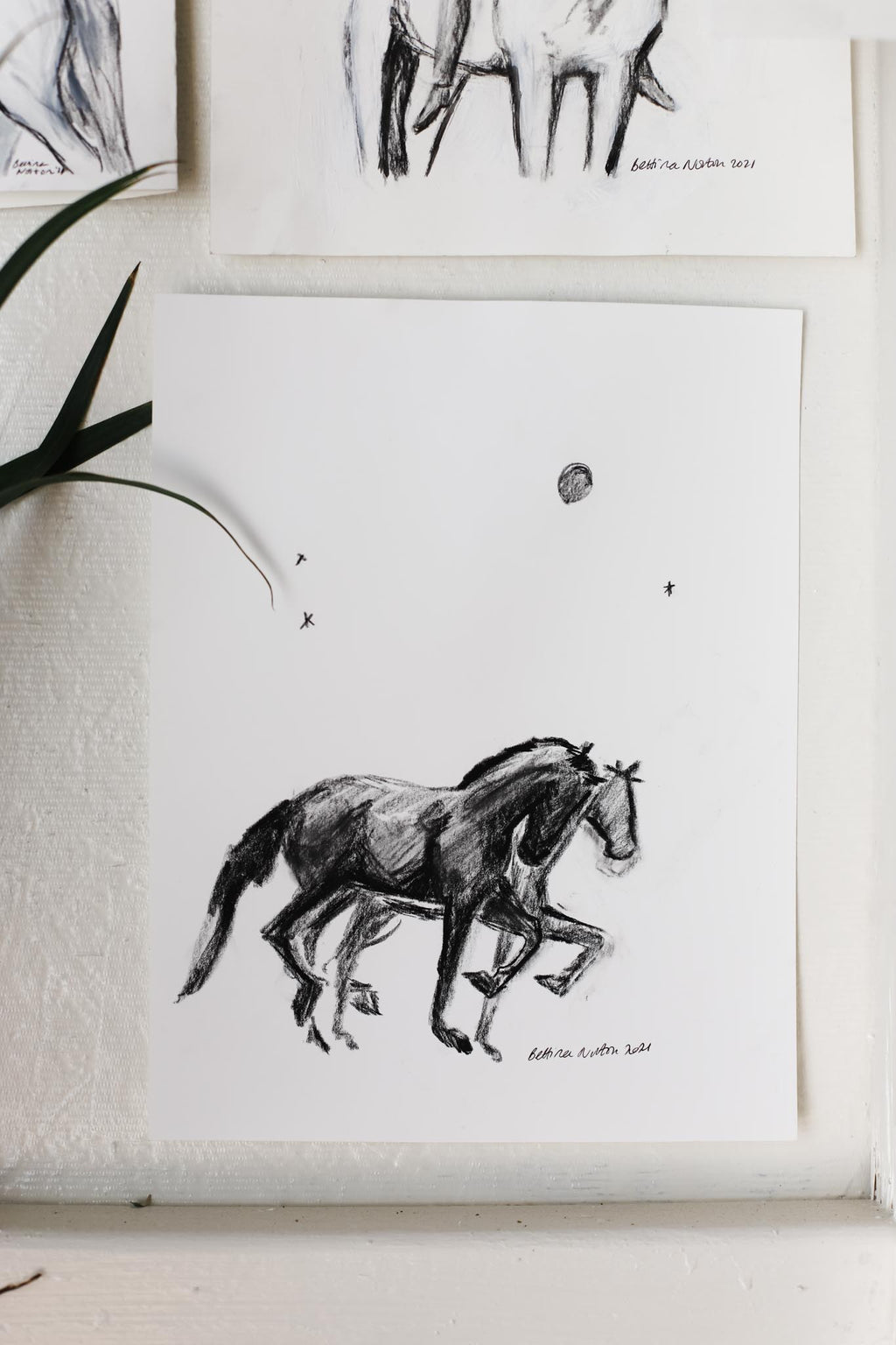 Moon Ponies