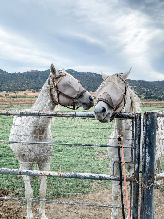 Custom art for Dorothy