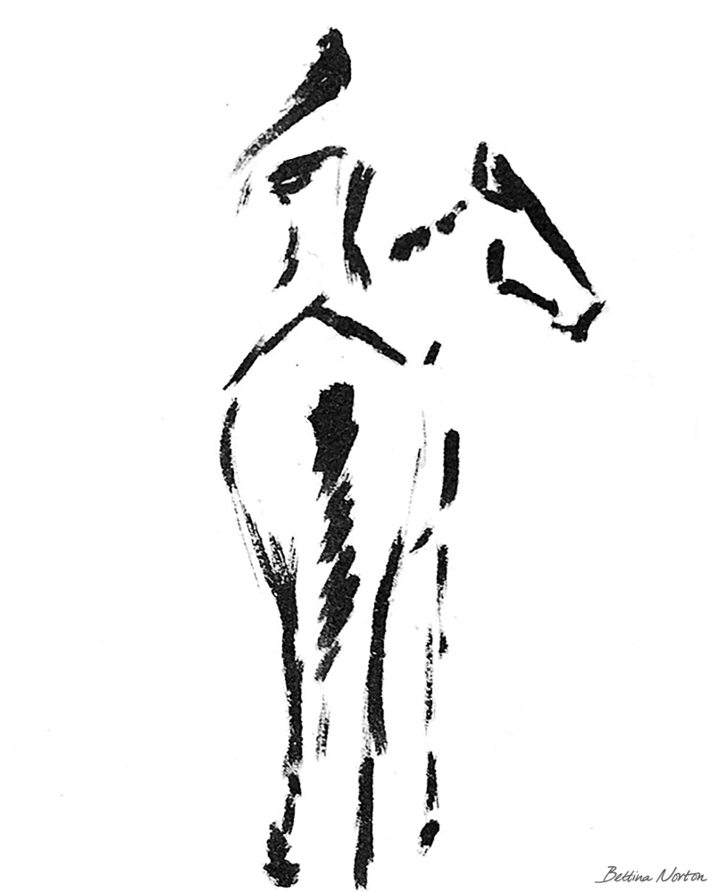 The Classic Horse | Wholesale Ready-to-Hang Canvas Prints