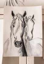 All the Greys
