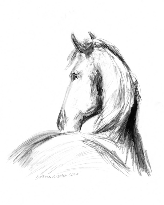 Friesian