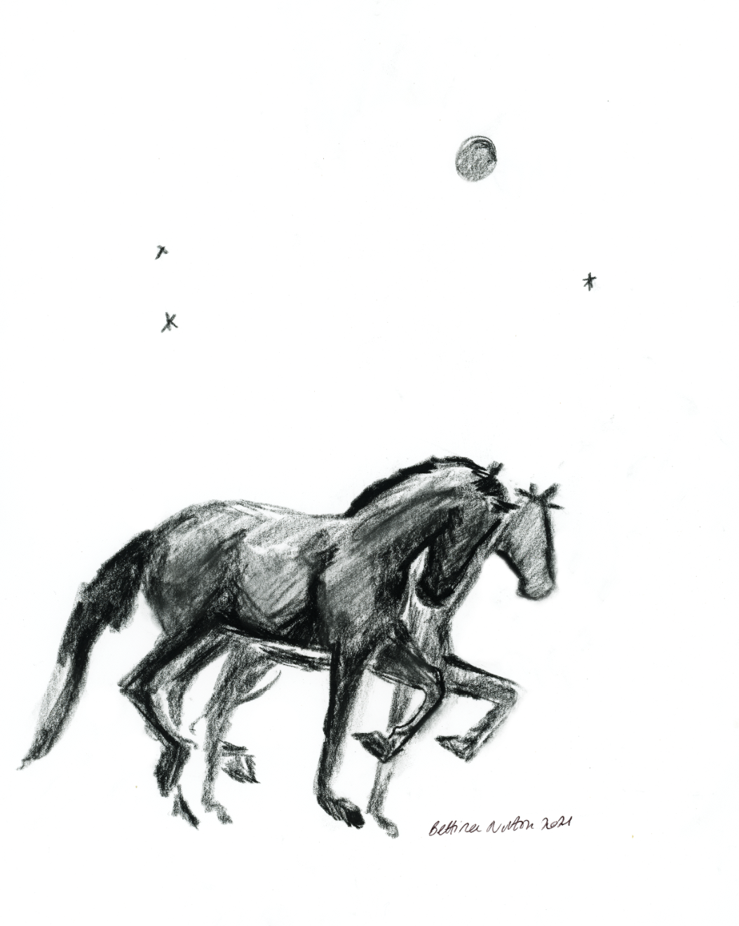 Moon Ponies