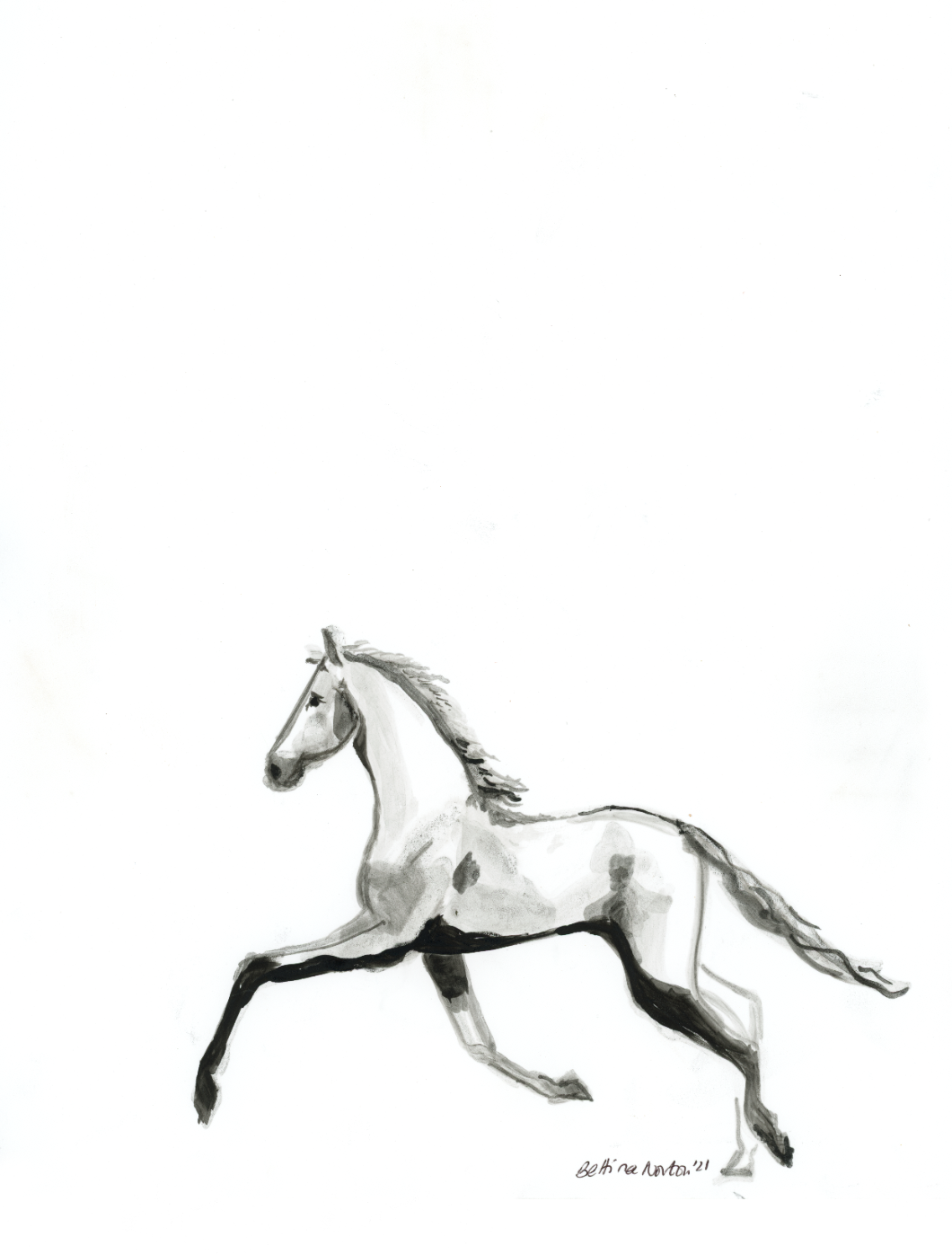 Standardbred
