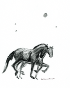 Moon Ponies