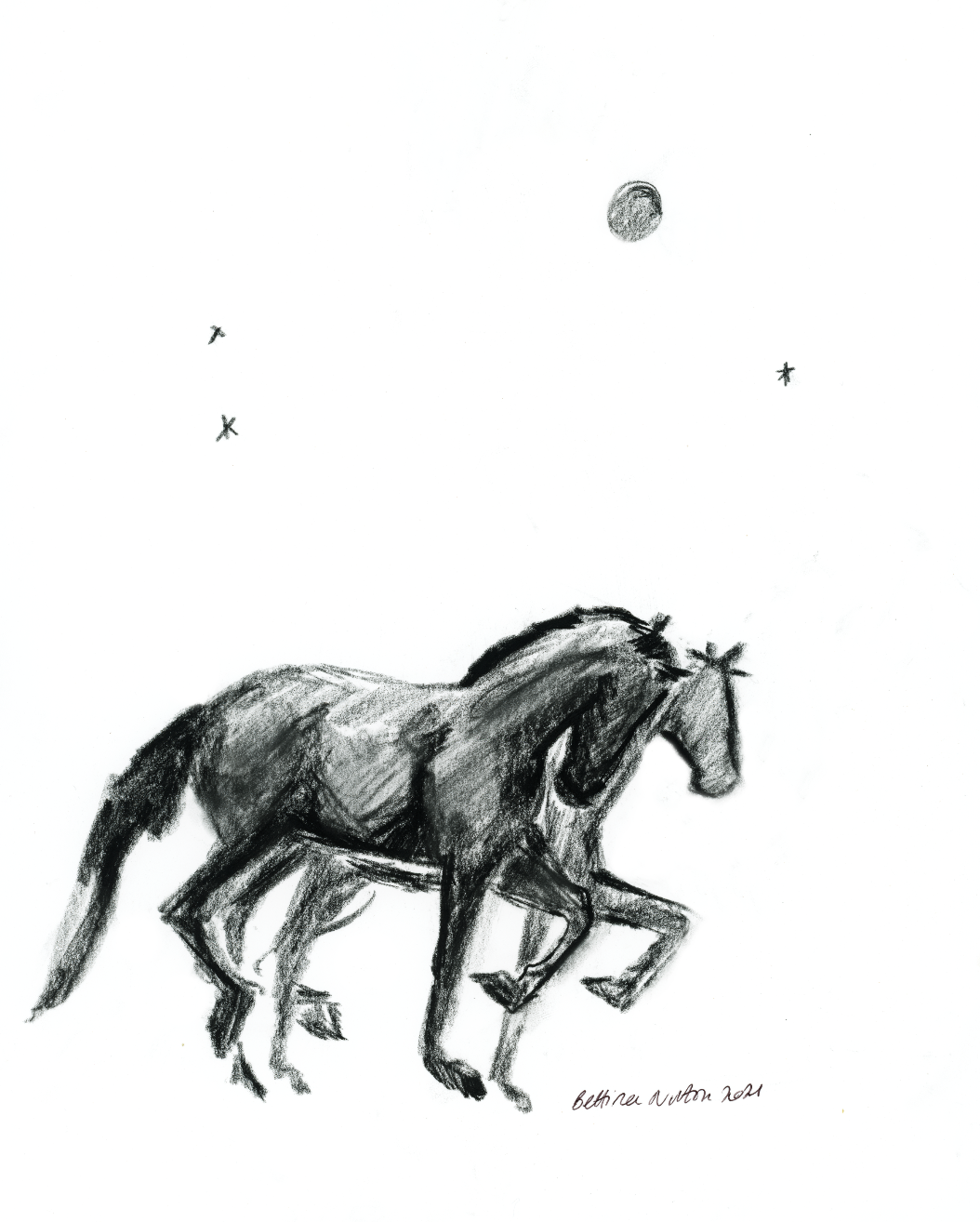 Moon Ponies