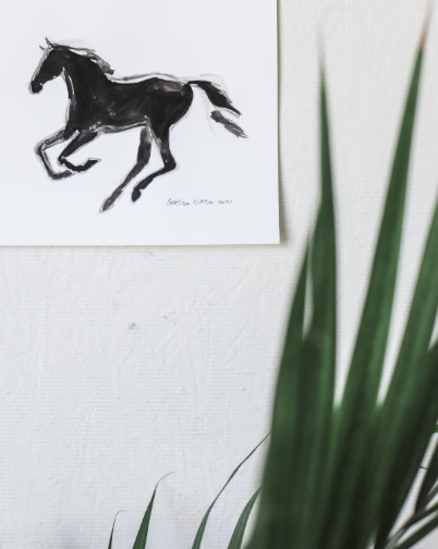Black Horse