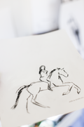 Dressage Queen