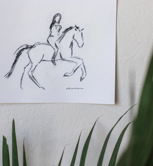 Dressage Queen